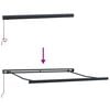 vidaXL Einziehbare Markise Schwarz 300 x 250 cm Stoff und Metall