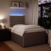vidaXL Boxspringbett mit Matratze Hellgrau 120x200 cm Samt