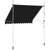 vidaXL Einziehbare Markise Handbetrieben 250 cm Anthrazit
