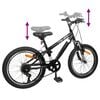 vidaXL Kids Mountain Bike 20 Zoll 6-Speed f&uuml;r 5-8 Jahre alt Schwarz