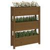 vidaXL Pflanzkübel Honigbraun 77x25x104,5 cm Massivholz Kiefer