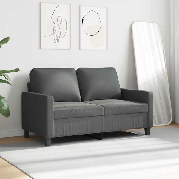 vidaXL 2-Sitzer-Sofa Dunkelgrau 120 cm Stoff