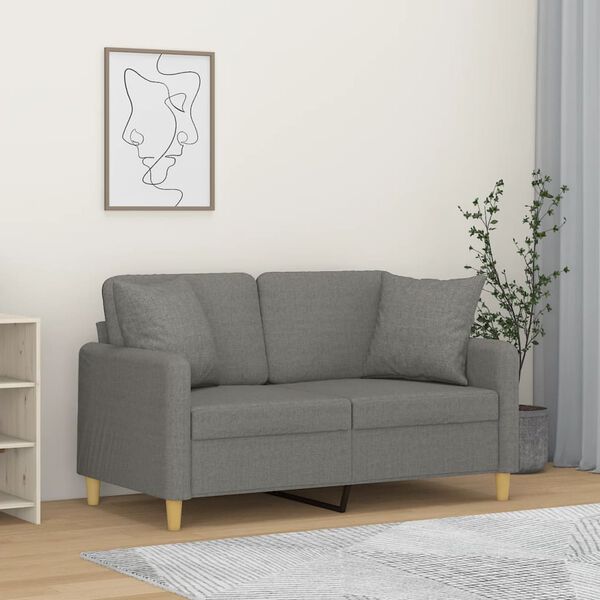 vidaXL 2-Sitzer-Sofa mit Kissen Dunkelgrau 120 cm Stoff