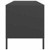 vidaXL TV-Schrank Schwarz 135x39x43,5 cm Kaltgewalzter Stahl