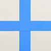 vidaXL Aufblasbare Gymnastikmatte mit Pumpe 60x100x15 cm PVC Blau