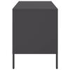 vidaXL TV-Schrank Schwarz 68x39x50,5 cm Stahl