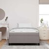 vidaXL Boxspringbett Taupe 120 x 200 cm Stoff