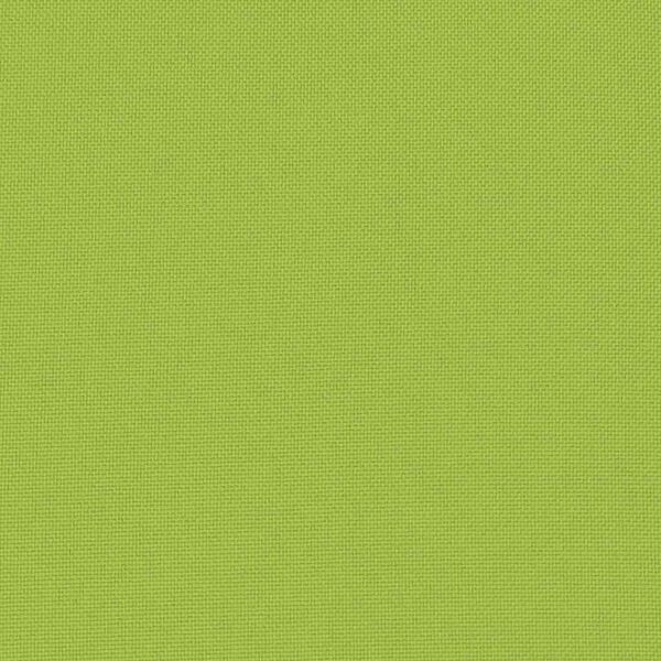 vidaXL Gartenkissen 2 Stk. 60 x 40 cm Apfelgr&uuml;n