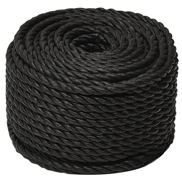 vidaXL Arbeitsseil Schwarz 16 mm 100 m Polypropylen