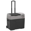 vidaXL K&uuml;hlbox mit Rollen und Griff Schwarz & Grau 40 L Polypropylen