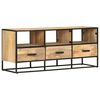 vidaXL TV-Schrank 110x30x45 cm Raues Mangoholz