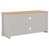 vidaXL TV-Schrank Grau 120x39x58 cm