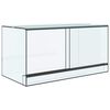 vidaXL Terrarium mit Speicher Transparent 80 x 40 x 40 cm Glas