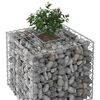 vidaXL Gabionen Hochbeet Silber 60 x 60 x 55 cm Verzinkter Stahl