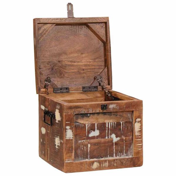 vidaXL Aufbewahrungsbox mit Speicher mit Tür Braun Massivholz Mango