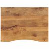 vidaXL Schreibtischplatte mit Aussparung 100x80x2,5cm Massivholz Mango