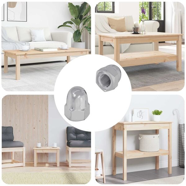 vidaXL Mutter 2 pcs Silber M6 x 10 mm Eisen