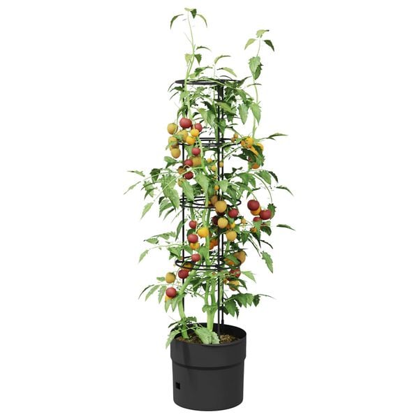 Produktbild 3 von 5 anzeigen