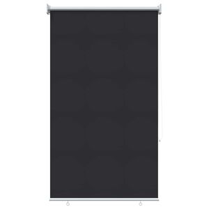 vidaXL Au&szlig;en-Rollos mit UV-Schutz Anthrazit 65 x 230 cm (B x H)