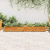 vidaXL Garten-Hochbeet Akazienholz 200x50x25 cm