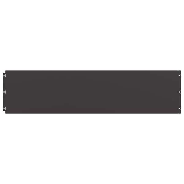 vidaXL Rasenkanten 10 Stk. Schwarz 25x103 cm Kaltgewalzter Stahl