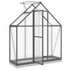 vidaXL Gew&auml;chshaus mit Fundamentrahmen Anthrazit 169x58x202 cm Alu