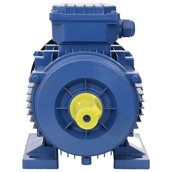 vidaXL 3-Phasen-Elektromotor Aluminium 2,2 kW 3 PS 2-Polig 2840 U/min