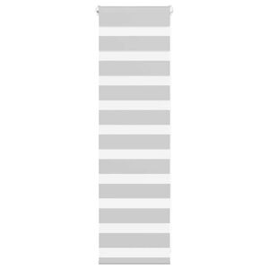 vidaXL Doppelrollo Hellgrau 50x100 cm Stoffbreite 45,9 cm Polyester