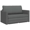vidaXL Schlafsofa Dunkelgrau 124 x 71 x 78 cm Samt