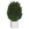 Produkt-Miniaturbild 4 von 9