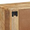 vidaXL TV-Wandschrank 100x32x25 cm Raues Massivholz Mango