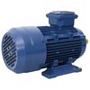 vidaXL 3-Phasen-Elektromotor Aluminium 2,2 kW 3 PS 2-Polig 2840 U/min