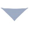 Blue_and_white