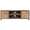 vidaXL TV-Schrank Grau 120x30x40 cm Massivholz Mango