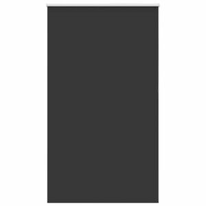 vidaXL Verdunkelungsrollo Schwarz 125x230 cm Stoffbreite 121,6 cm