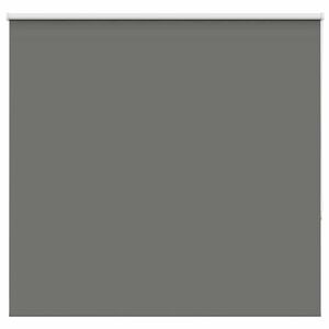 vidaXL Verdunkelungsrollo Grau 160x130cm Stoffbreite 156,6cm Polyester