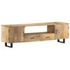 vidaXL TV-Schrank 160x30x45 cm Massivholz Mango