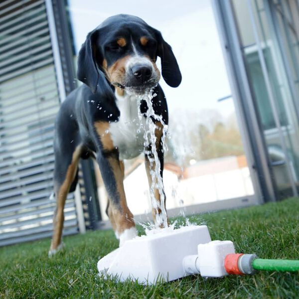 Kerbl Trinkbrunnen f&uuml;r Haustiere Bubble 25,5x18x8 cm Wei&szlig; und Blau
