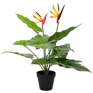 vidaXL K&uuml;nstliche Strelitzia-Pflanze Gr&uuml;n 65 x 13 x 55 cm