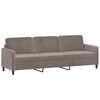vidaXL 3-Sitzer-Sofa mit Kissen Hellgrau 210 cm Samt