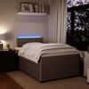 vidaXL Boxspringbett mit Matratze Hellgrau 120x200 cm Samt