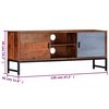 vidaXL TV-Schrank 120x30x49 cm Massivholz Akazie