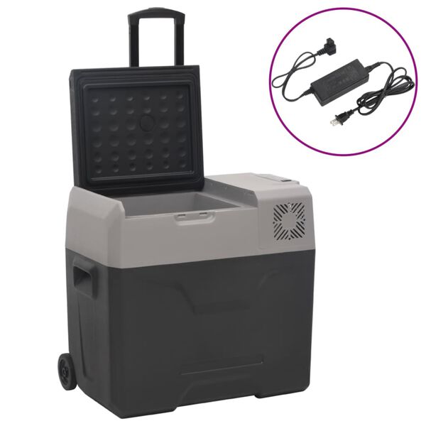 vidaXL K&uuml;hlbox mit Rollen und Adapter Schwarz & Grau 50 L Polypropylen