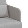 vidaXL Schlafsofa 60cm Wolkengrau Stoff