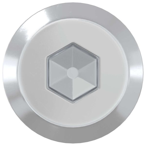 vidaXL M&ouml;bel-Schrauben 2 pcs Silber M6 x 100 mm Stahl