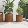 vidaXL Blumentopf K&ouml;rbchen mit Speicher 2 pcs Braun Lacak Rattan