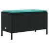 Black_and_turquoise