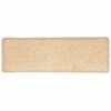 vidaXL Stufenmatten 30 Stk. 65x21x4 cm Creme Rechteckiger Rand