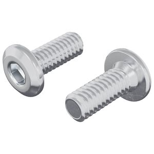 vidaXL Kopf-Sicherungsschraube 2 pcs Silber M6 x 15 mm Stahl