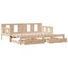 vidaXL Tagesbett Ausziehbar mit Schubladen ohne Matratze 80x200 cm